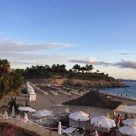 Yucca Fanabe أذيخي