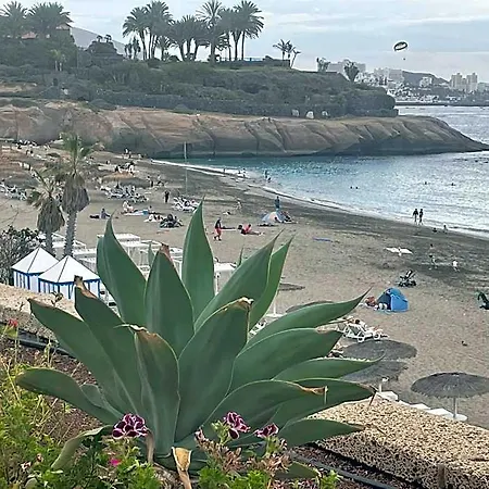 Yucca Fanabe Costa Adeje (Tenerife)